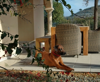 Boutique Hotel Residencia Fundador - Entspannen