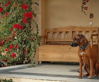 Boutique Hotel Residencia Fundador