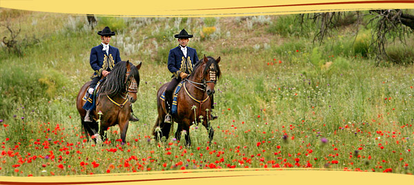 horse riding andalusia, horse riding Vélez Rubio, horse riding velez rubio, horse vacation andalusia, horse vacation spain